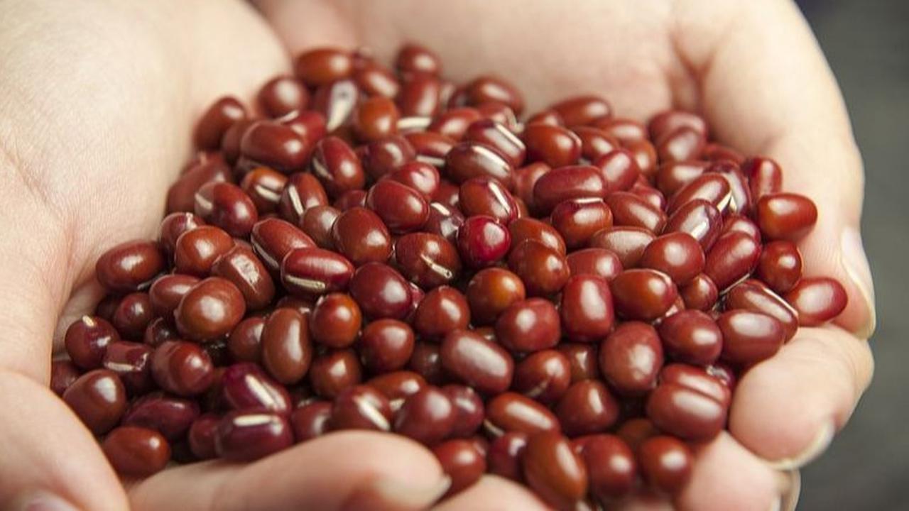 Cara Masak Kacang Merah agar Cepat Empuk Tanpa Baking Soda, Cuma Butuh 1 Bahan Tambahan
