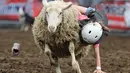 Seorang anak perempuan berpegangan saat domba berlari kencang selama mengikuti kompetisi Wool Riders Only Mutton Bustin 'di Iowa State Fair di Des Moines, Iowa, AS (12/9/2019). (Chip Somodevilla/Getty Images/AFP)