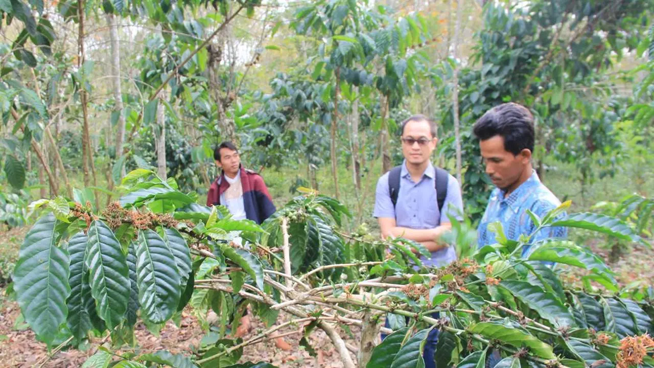 Hasil Riset Pertanian Berkelanjutan Indogreen Jadi Acuan Kebijakan di Pagar Alam