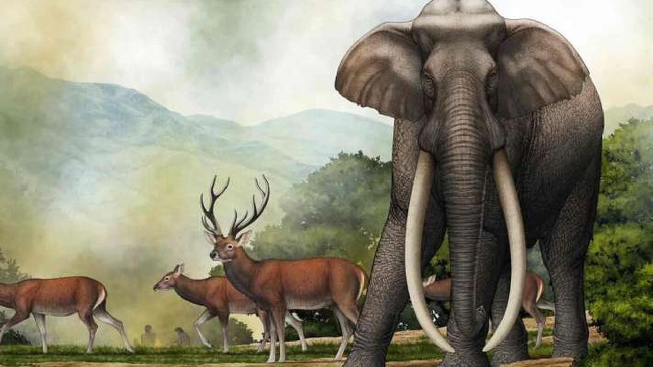 Bukan Mammoth, Temuan Fosil Gajah Purba Berusia 300 Juta Tahun Ternyata Milik Spesies Misterius yang Sudah Punah