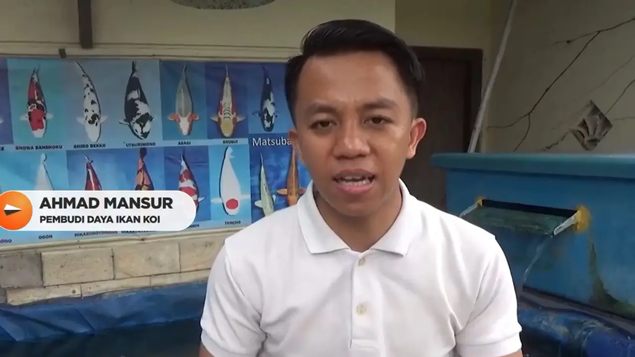 Pembudi Daya Ikan Koi