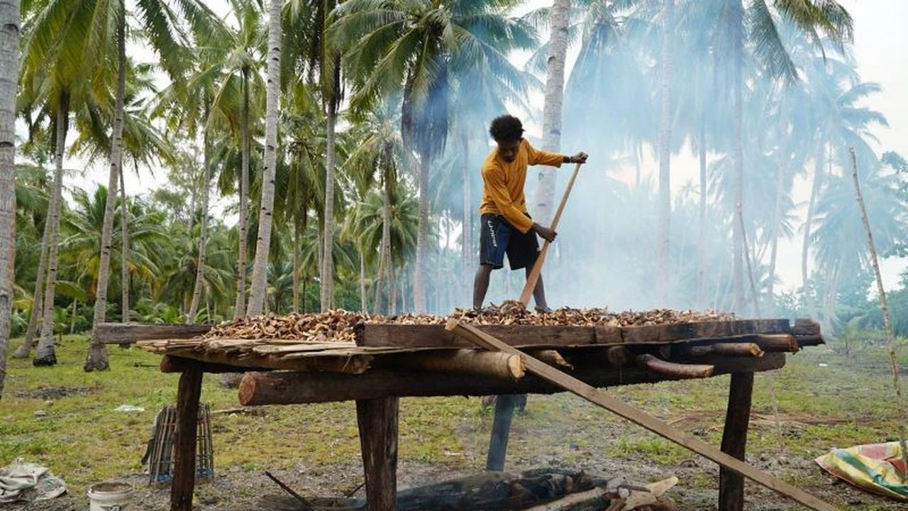 Koperasi Merah Putih Pam Perluas Pasar, Kirim 10,5 Ton Kopra ke Surabaya