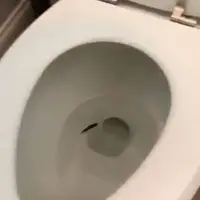 Untung mengecek ikanmu di kolam yang nggak bergerak saat digoda, coba taruh di lobang kloset. :p (Via: twitter.com/macy_carmichael)