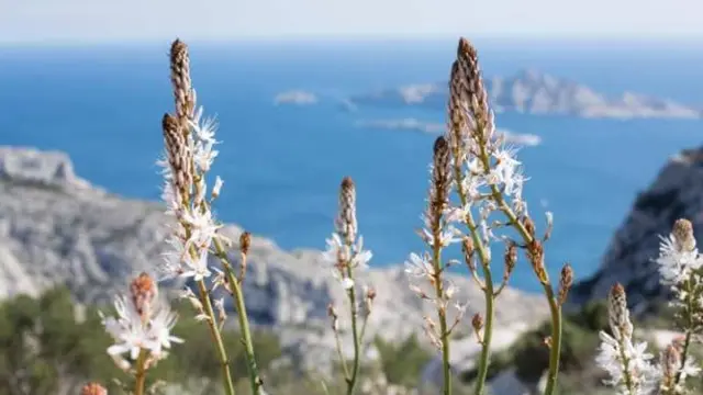 Parc National des Calanques, Prancis