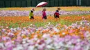 Pengunjung berjalan melewati pola bunga selama festival bunga di Taoyuan pada tanggal 10 November 2023. (Sam Yeh/AFP)