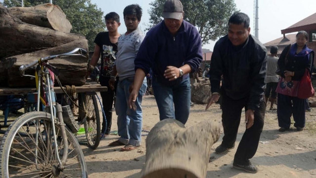 Krisis BBM, pemerintah Nepal jual kayu bakar