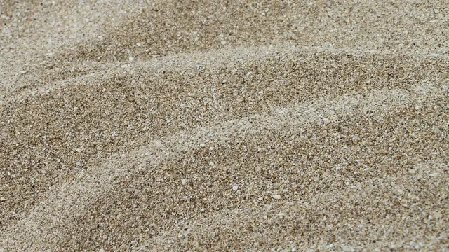 Gunakan Pasir yang Dapat Menyerap Bau