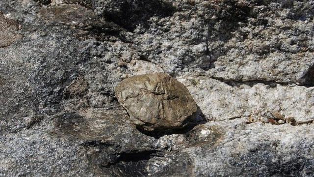 Misteri Batu Granit Raksasa yang Melahirkan Batu Anakan di Portugal