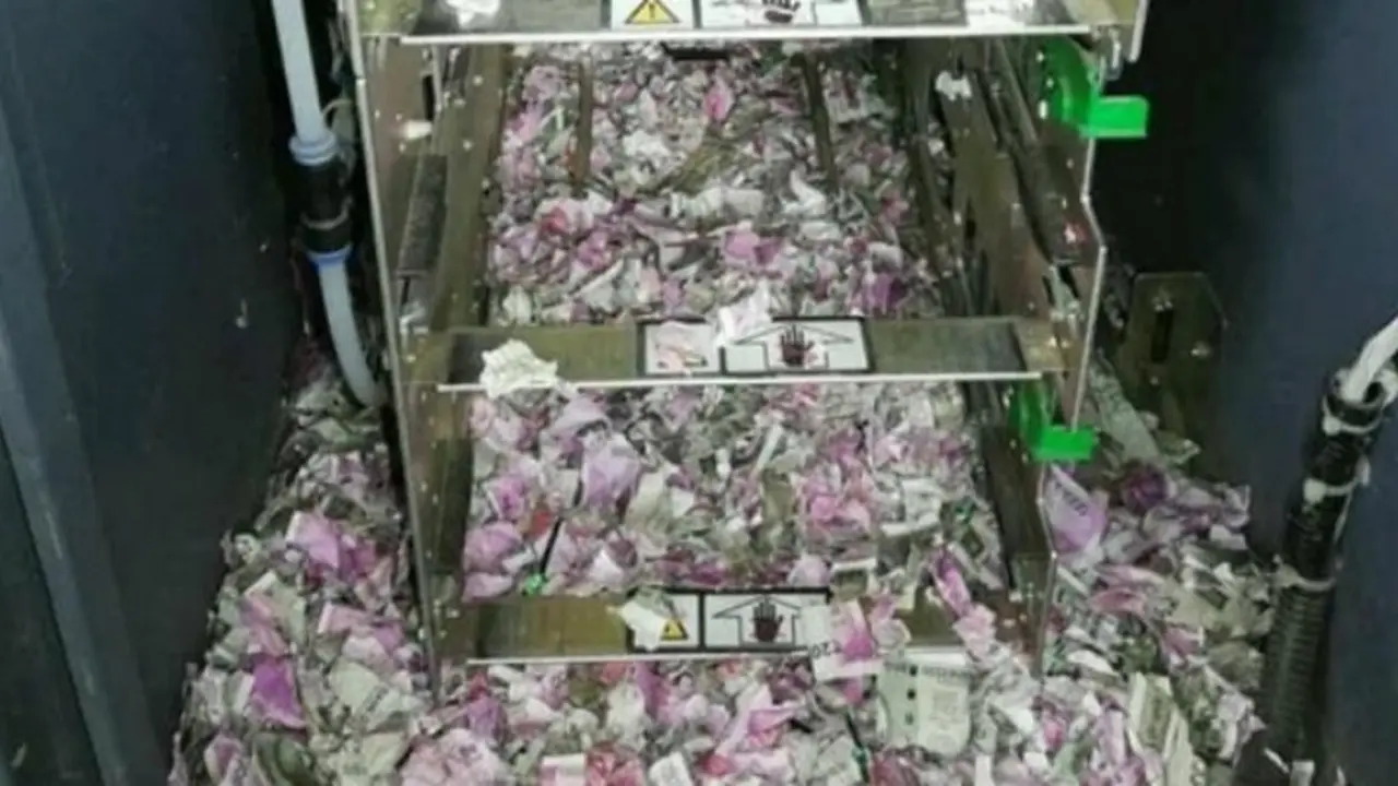 Ada-ada saja, uang senilai 250 Juta rusak digigiti tikus (Foto: Hindustan Times)