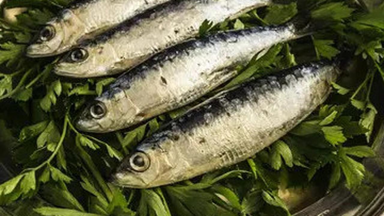 6 Manfaat Kesehatan Mengonsumsi Ikan Sarden, Menyehatkan Jantung hingga Mata