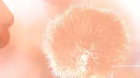 Peach Fuzz, Color of the Year 2024, yang dipilih Pantone untuk tahun depan. (dok. Screenshoot Pantone.com)