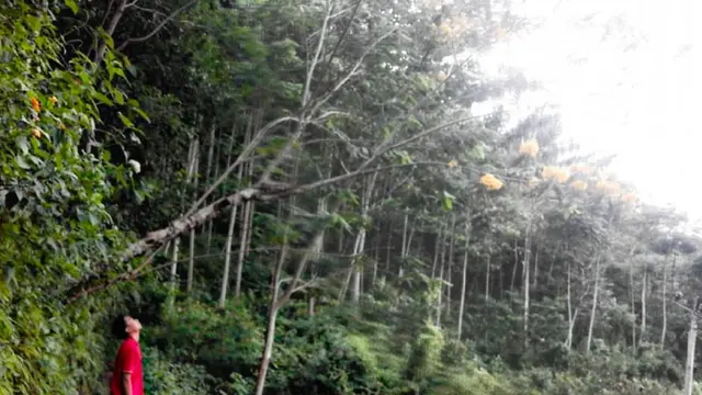 Kawasan Gunung Lumbung di Cililin https://www.instagram.com/p/BSijvWxD-Ap/?igsh=MTVrN3kyemYxZ3Mxcw==