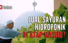VIDEO: Sayuran Hidroponik dari Atap Masjid