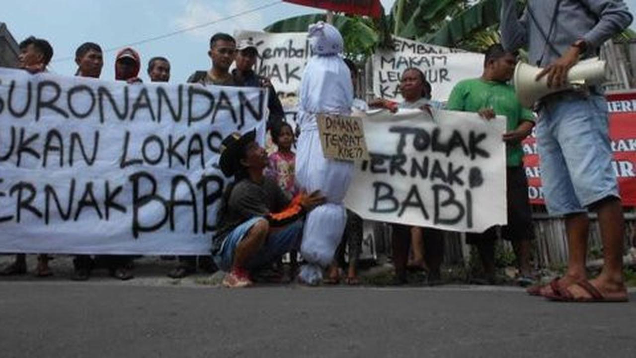 Warga ancam tutup peternakan babi karena bau dan serobot makam