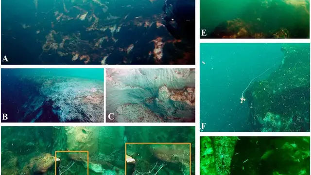 Misteri 'Lubang Biru' yang Terbentuk Ribuan Tahun, Miliki Kedalaman 1,3 Ribu Kaki