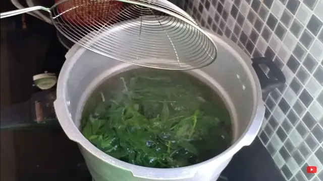 Cara Bikin Daun Singkong untuk Urap Agar Nikmat dan Tetap Hijau