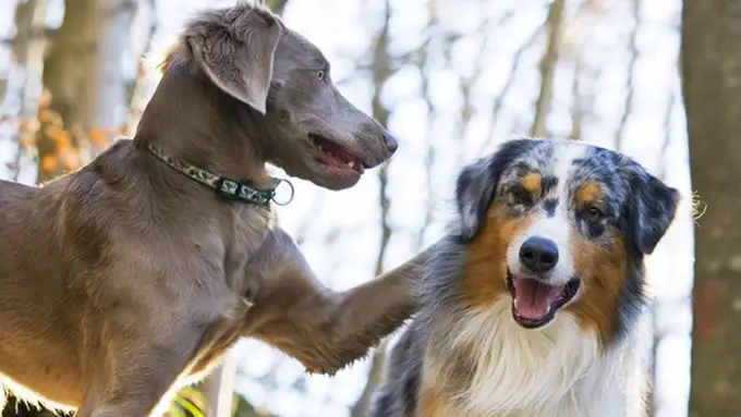 Photo: Copyright papertostone.com