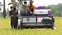 Menteri Pertanian Syahrul Yasin Limpo melakukan panen padi Inbrida di Gapoktan Karya Tani Desa Tanjung Jaya Kecamatan Panimbang Kabupaten Pandeglang.