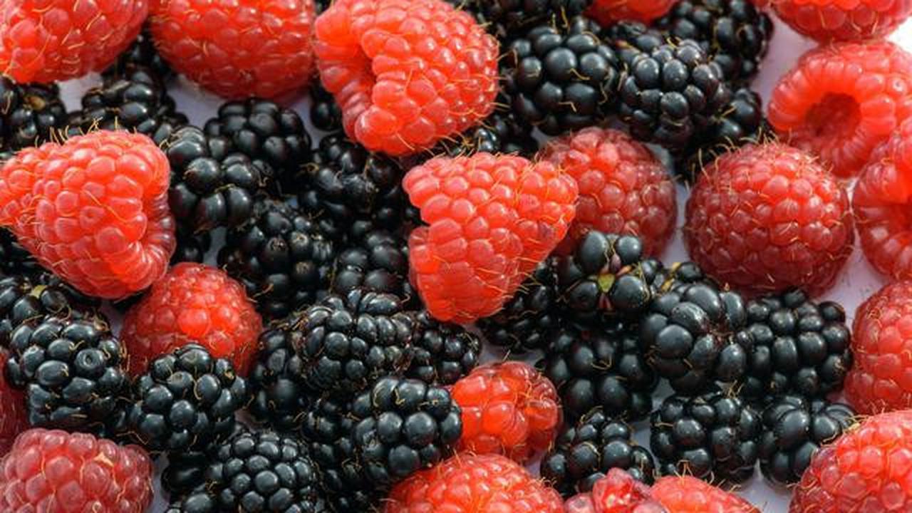 9 Makanan yang Baik Dikonsumsi Setelah Olahraga, Ampuh Pulihkan Energi Optimal