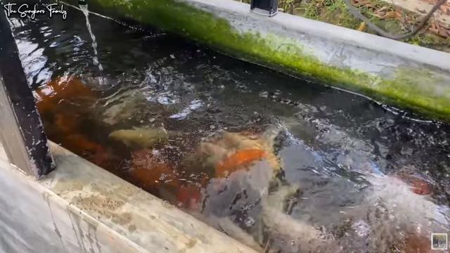 Potret Rumah Mewah Mark Sungkar. (Sumber: Instagram/@marksungkar)