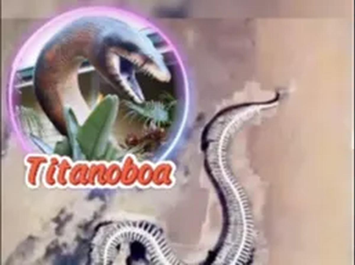 Benarkah Ular Titanoboa?