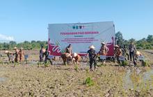 Perkuat Ketahanan Pangan, Yonif TP Bersama Forkompida Papua Barat Daya dan Masyarakat Sorong Tanam Padi