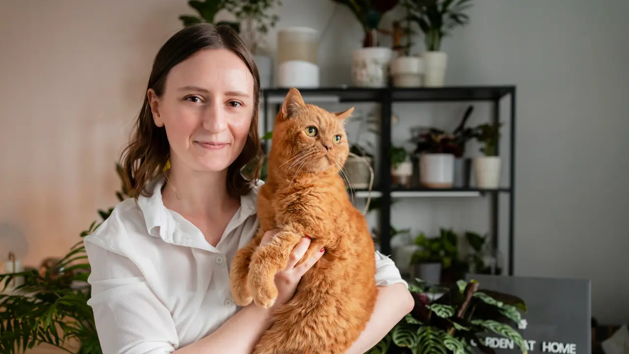 Cat Owner
