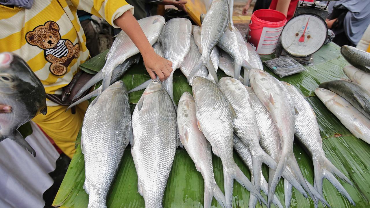 Semarak Festival Bandeng Rawa Belong jelang Tahun Baru Imlek