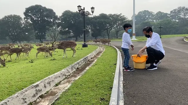 Presiden Jokowi Bersama Cucunya