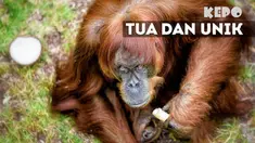 Menjadi tua adalah anugerah, banyak cerita yang menyertai hingga pencapaian yang patut dibanggakan.