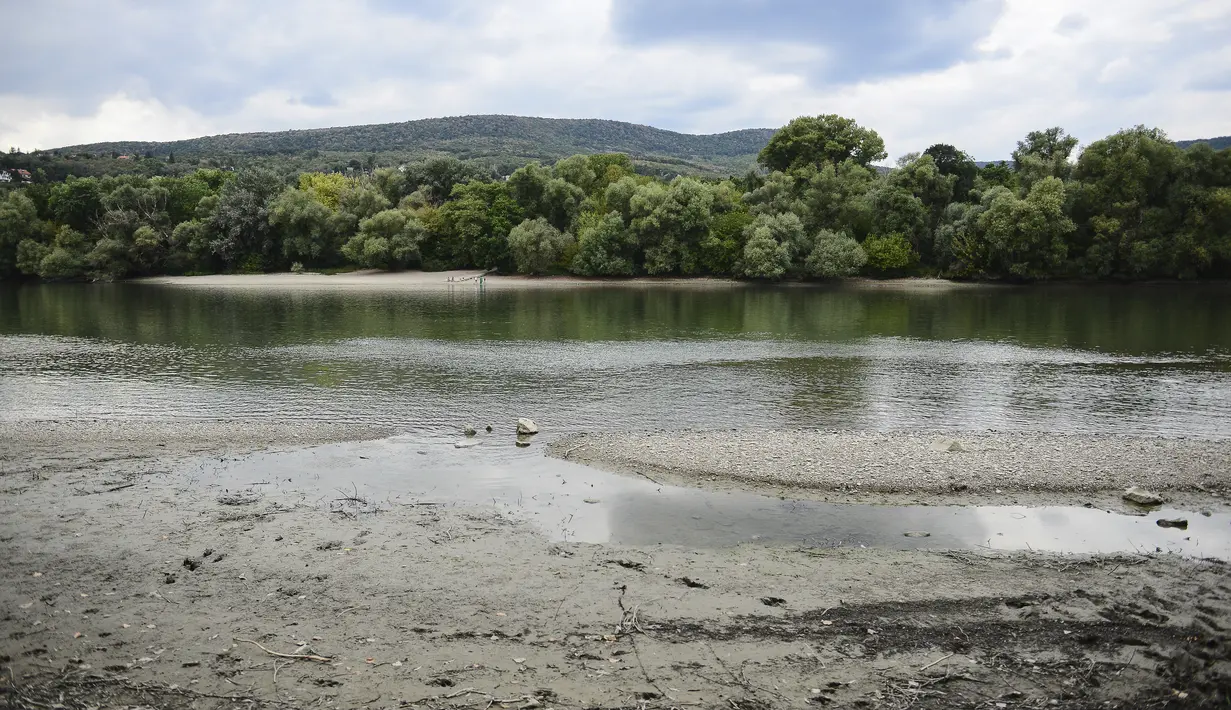 Ketinggian air Sungai Danube di Pocsmegyer dekat Budapest, Hungaria (9/8/2022). Ketinggian air Sungai Danube turun satu setengah meter dalam tiga minggu di dekat Budapest, sementara prakiraan hidrologi menunjukkan bahwa tidak ada penambahan curah hujan yang diharapkan untuk saat ini. (AP Photo/Anna Szilagyi)