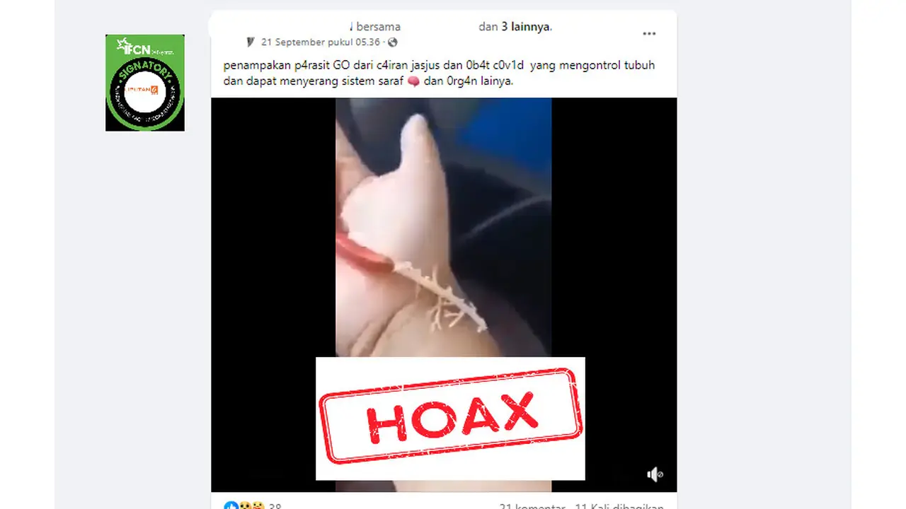 Tangkapan layar hoaks seputar vaksin