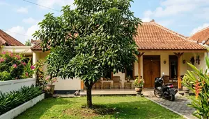 7 Cara Mengatasi Buah Alpukat Mudah Gugur agar Panen Lebih Maksimal