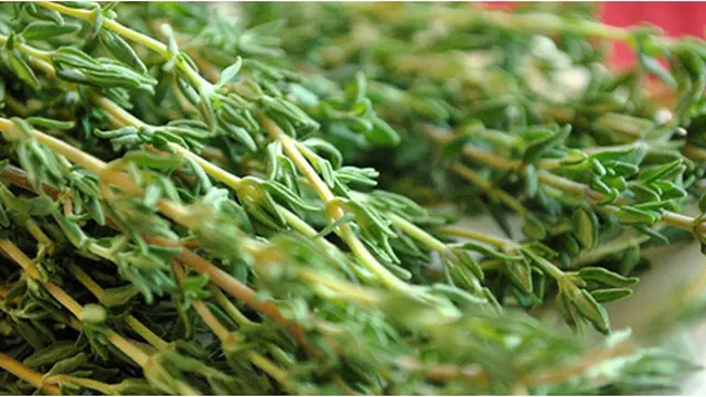 Courtesy alicehenneman/Flickr