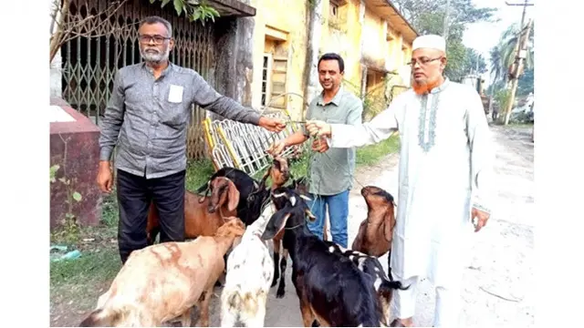 9 Kambing Dibebaskan Usai Setahun Dipenjara, Alasannya Bikin Geleng Kepala