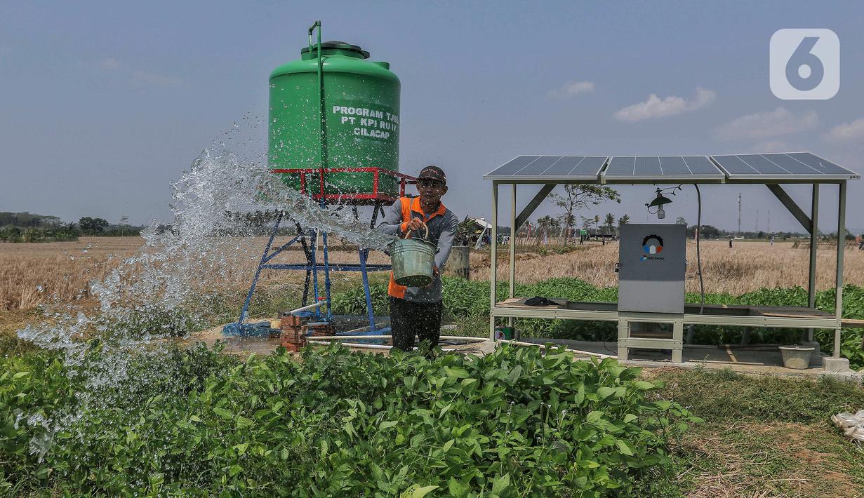 Desa Energi Berdikari yang digagas Pertamina dan anak usaha ini juga sejalan dengan program pemerintah dalam menyejahterakan kehidupan masyarakat dan memperkuat ketahanan pangan. (Liputan6.com/Angga Yuniar)