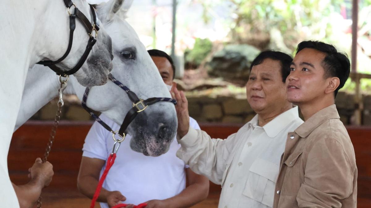 Ramai Baliho Duet Prabowo-Gibran di Labuan Bajo, Ternyata Tanpa Izin Gibran - Regional Liputan6.com