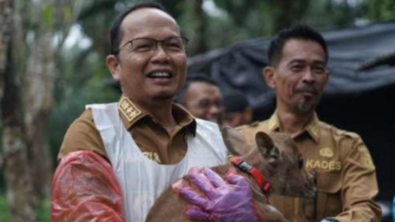 Trivia: Populasi Sapi Bangka Tengah Capai 6.983 Ekor, Target Swasembada Daging Demi Ketahanan Pangan Nasional
