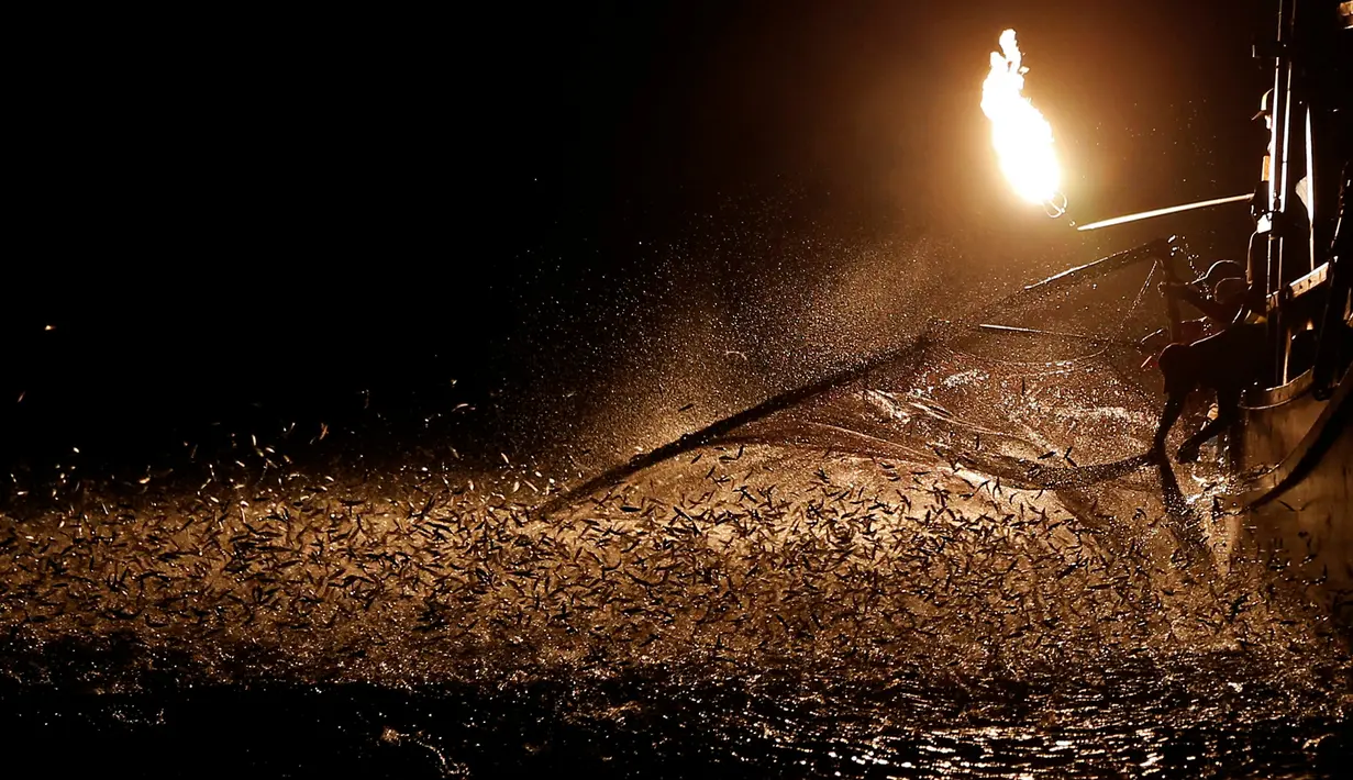 Nelayan menggunakan api dan jala menarik ikan di perairan New Taipei City, Taiwan, (19/6). Kini Metode tradisional ini hanya digunakan segelintir nelayan dan tersisa tiga kapal saja setiap malam. (REUTERS/Tyrone Siu)