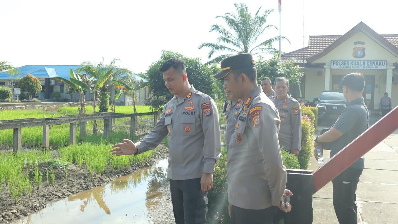 kantor polisi jadi sawah