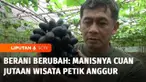 Memanfaatkan lahan kosong di sekitar rumahnya di Kota Salatiga, Jawa Tengah. Wildan mencoba peruntungan membuka kebun anggur, meski tak punya pengalaman budi daya anggur, berkat ketekunannya kebunnya berubah jadi tempat wisata. Inilah Berani Berubah ...