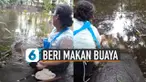 Cara memberi makan buaya itu terlihat unik.