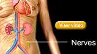 Mengenal Diabetes Melitus dan Cara Penangananya