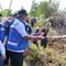 2 Prioritas Utama Penanganan Kebakaran Hutan di Kalsel