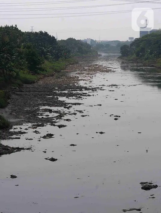 Pemandangan aliran Kanal Banjir Timur yang mengering. (merdeka.com/Imam Buhori)