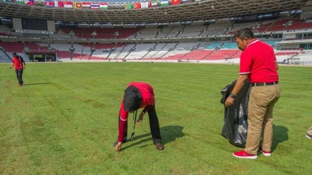 Setelah Asian Games 2018, Begini Kondisi Rumput Stadion GBK Kini