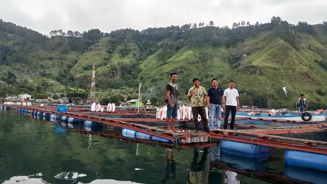 Dianggap Mencemari Danau Toba, Ini Kata Warga Pemilik Keramba Jaring Apung