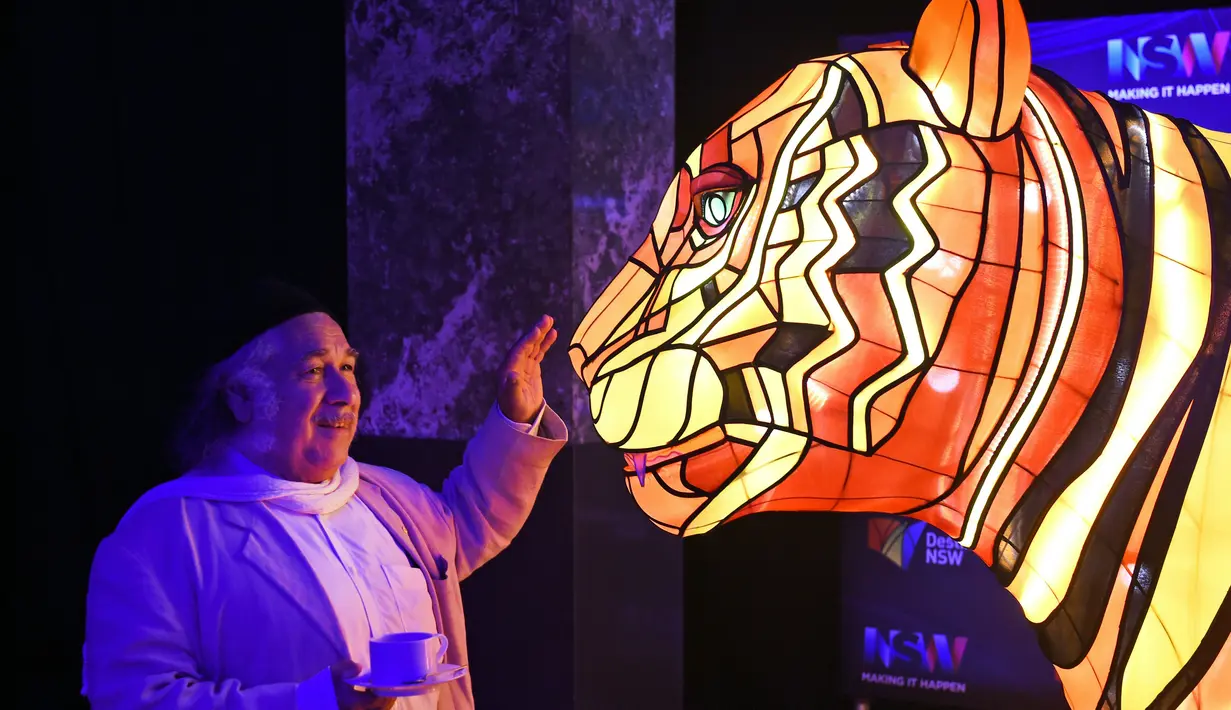 Pengunjung terkesima melihat instalasi harimau Sumatera raksasa saat peluncuran Vivid Sydney, Australia (17/3). Instalasi harimau Sumatera ini merupakan karya seniman Australia Lucy Keeler dan Nicholas Tory. (AFP/William West)