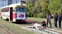 Seorang wanita di Rusia pamer kekuatan dengan menghela trem kosong seberat 19 ton.