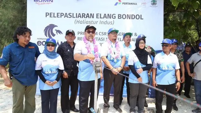 Pelepasliaran Elang Bondol (Pertamina MOR III)